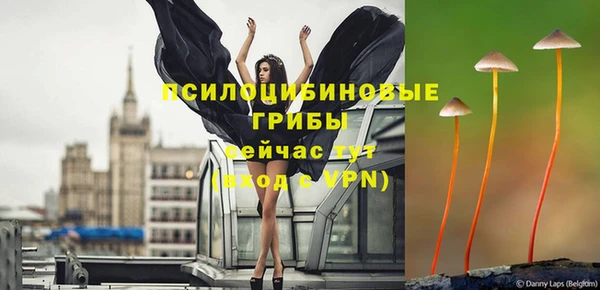 герыч Богородицк