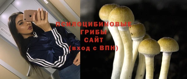 герыч Мегион