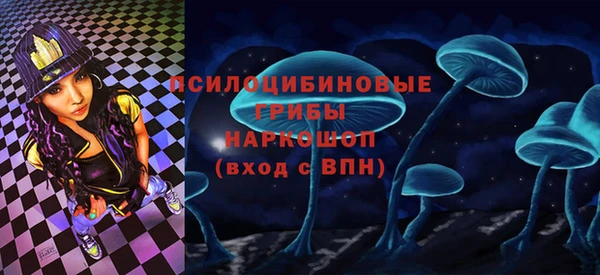 герыч Богородицк