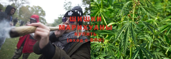a pvp Белокуриха