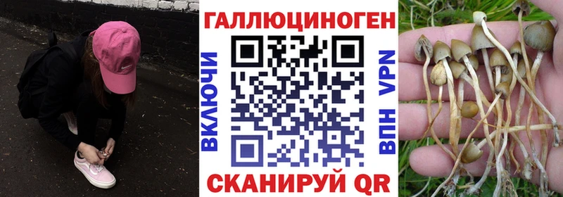 МЕГА маркетплейс Биробиджан Галлюциногенные грибы MAGIC MUSHROOMS